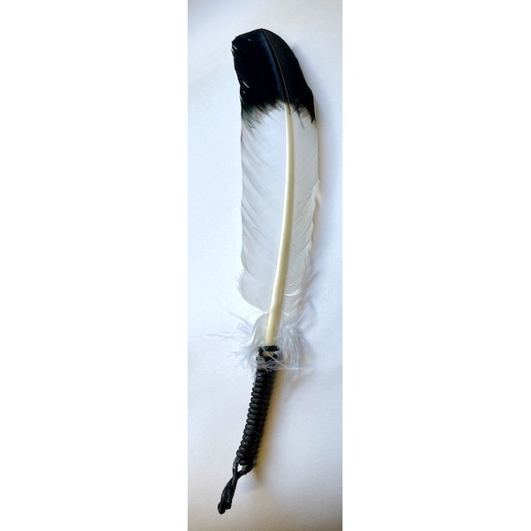 Feather Smudge Eagle Feather (dyed turkey feather)